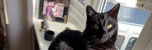 LadyChrissy60 Profile Banner