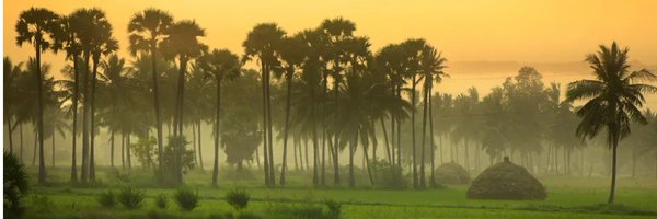 tsr_tweets Profile Banner