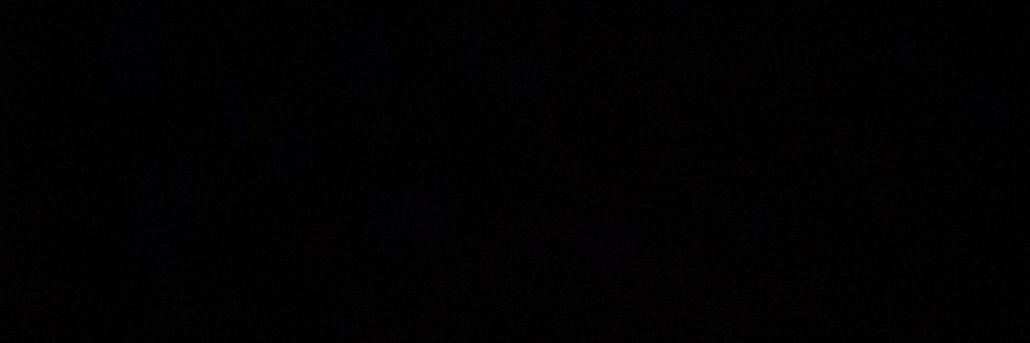 CindyHedgehog's profile banner image