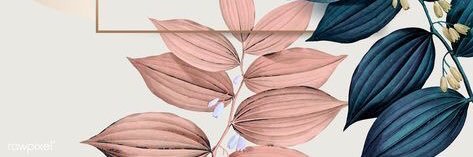 vannyhani's profile banner image