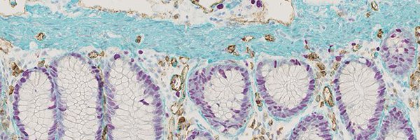 RHEM_Biocampus Profile Banner