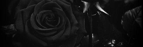 Shion_Xx00's profile banner image