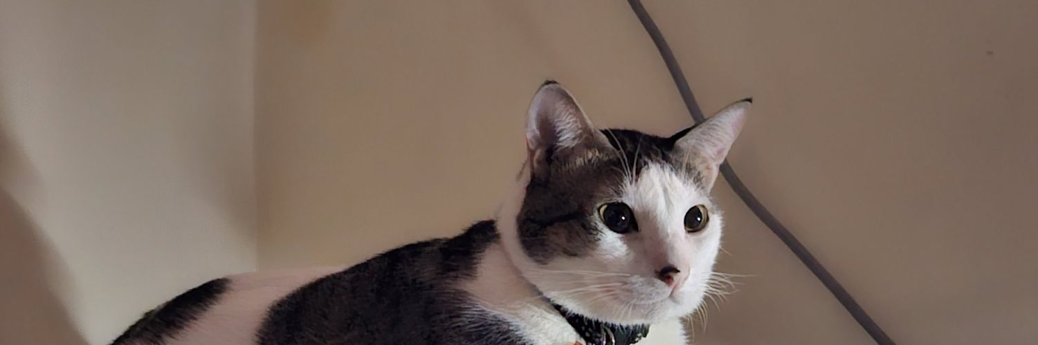 dejesuseunice's profile banner image