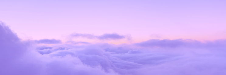 냥냥 banner