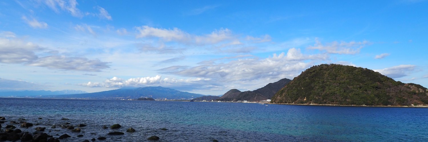 ばやしこ🐟️ banner