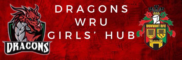 dragonsdunvant Profile Banner