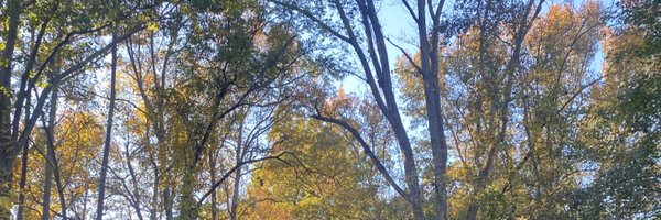 EmmaR_Dear Profile Banner