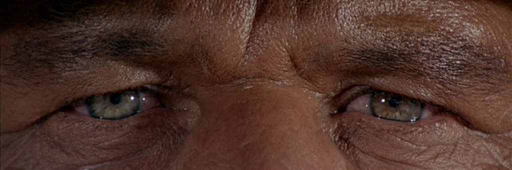 MKavrna's profile banner image