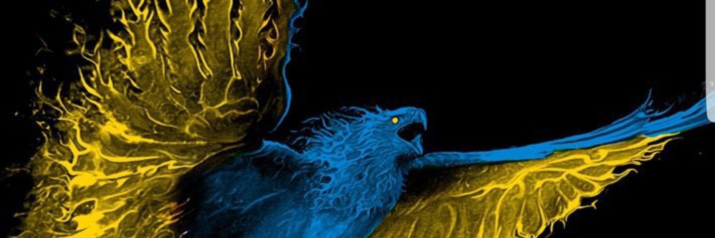 Фата Фатуля🇺🇦 banner