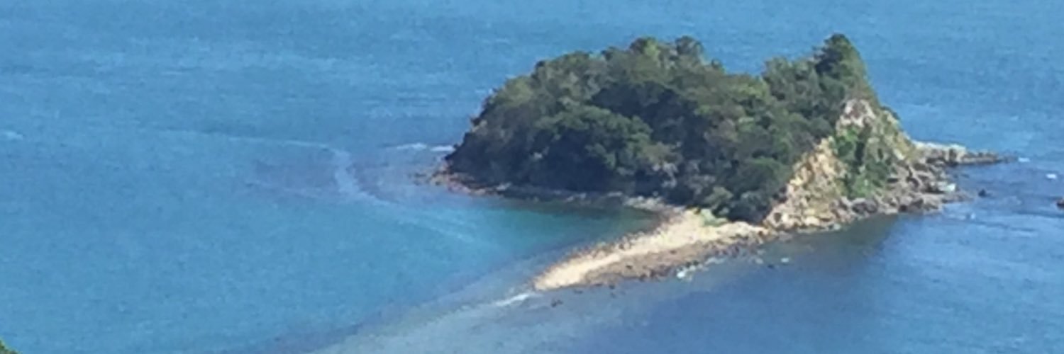 林宵 banner