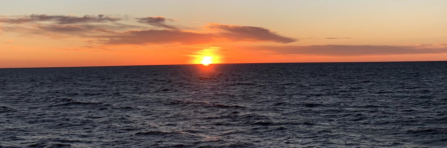 Lexi Van Blunk banner