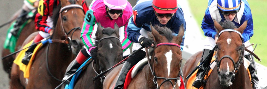 Equibase's banner