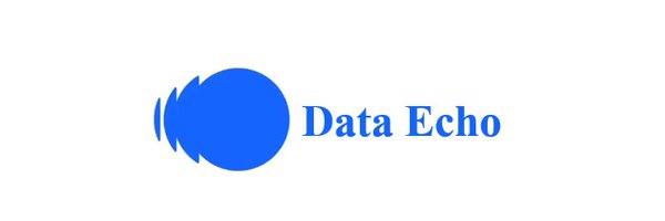 dataecho1 Profile Banner