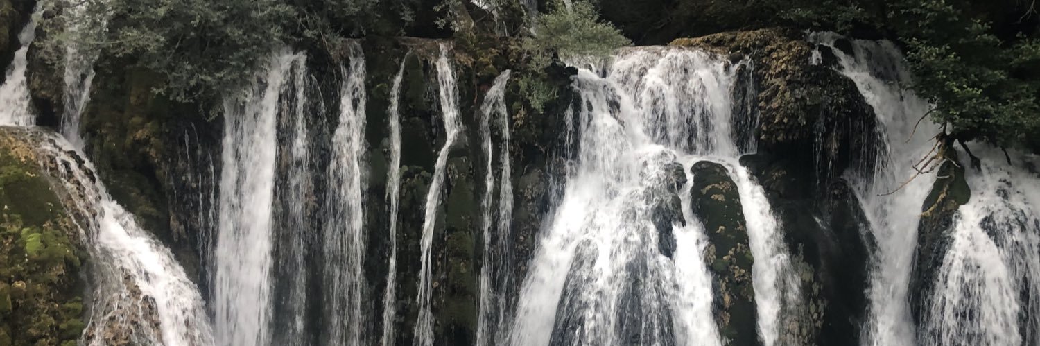 Alistair Maltby banner