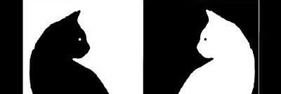 Tuğba Bıyıklı banner