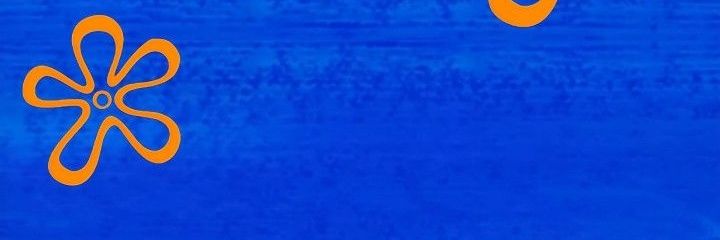 Sholex banner