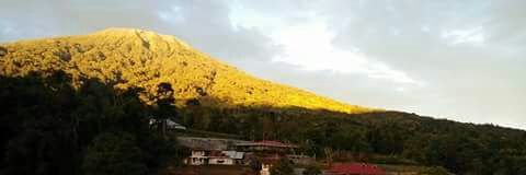 indrathalib's profile banner image