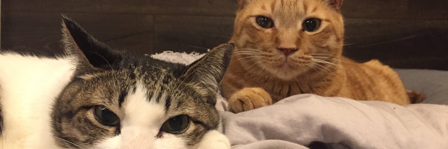 妖獣えーす［DARK-LAW］ banner