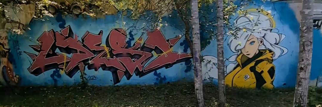 LdesOner's profile banner image