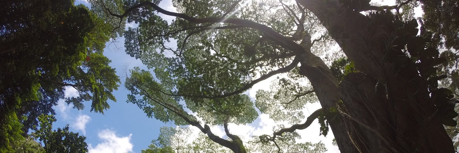 Brooklinbrown's profile banner image