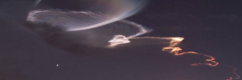 yasemin banner