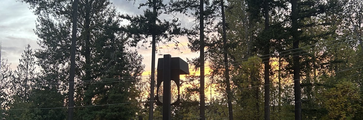 Treyce Wilson banner