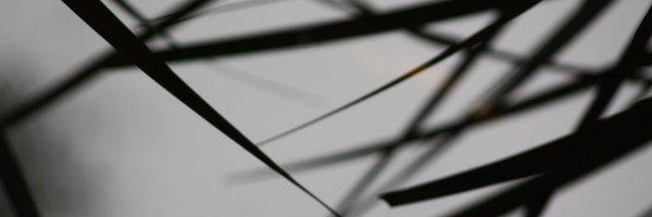 JayBomSenhor Profile Banner