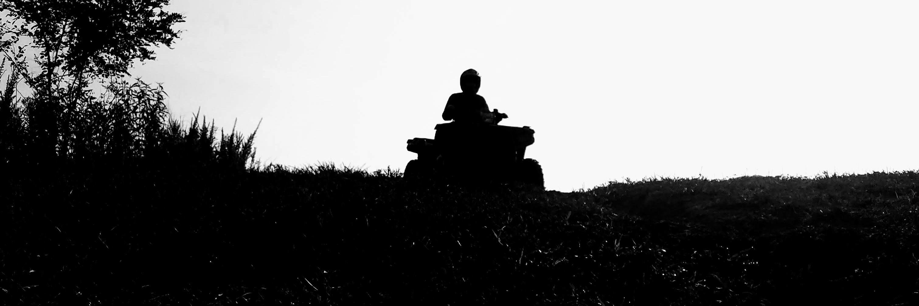 Bisbobble's profile banner image