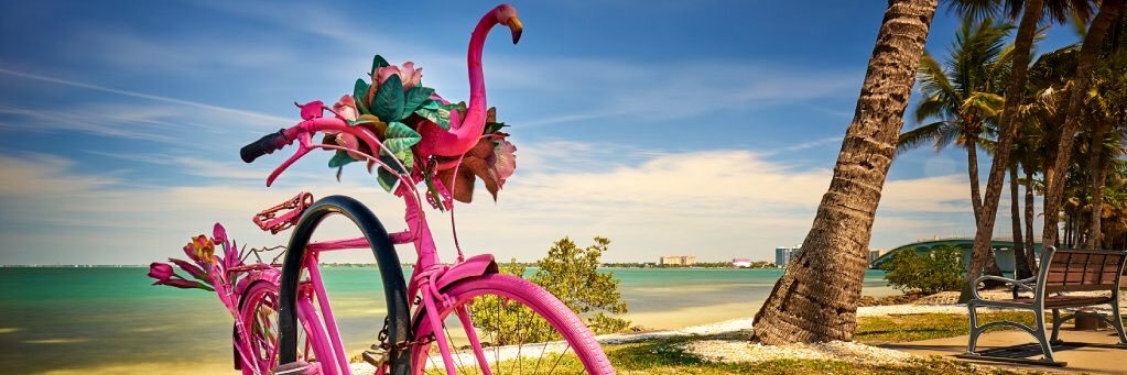HispanicAgentFL's profile banner image