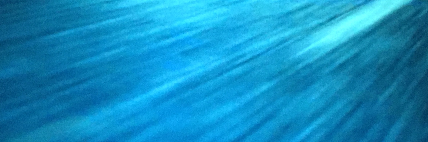 Craig Thompson banner