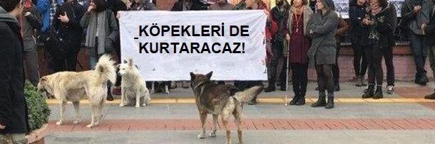 fntkomrr's profile banner image