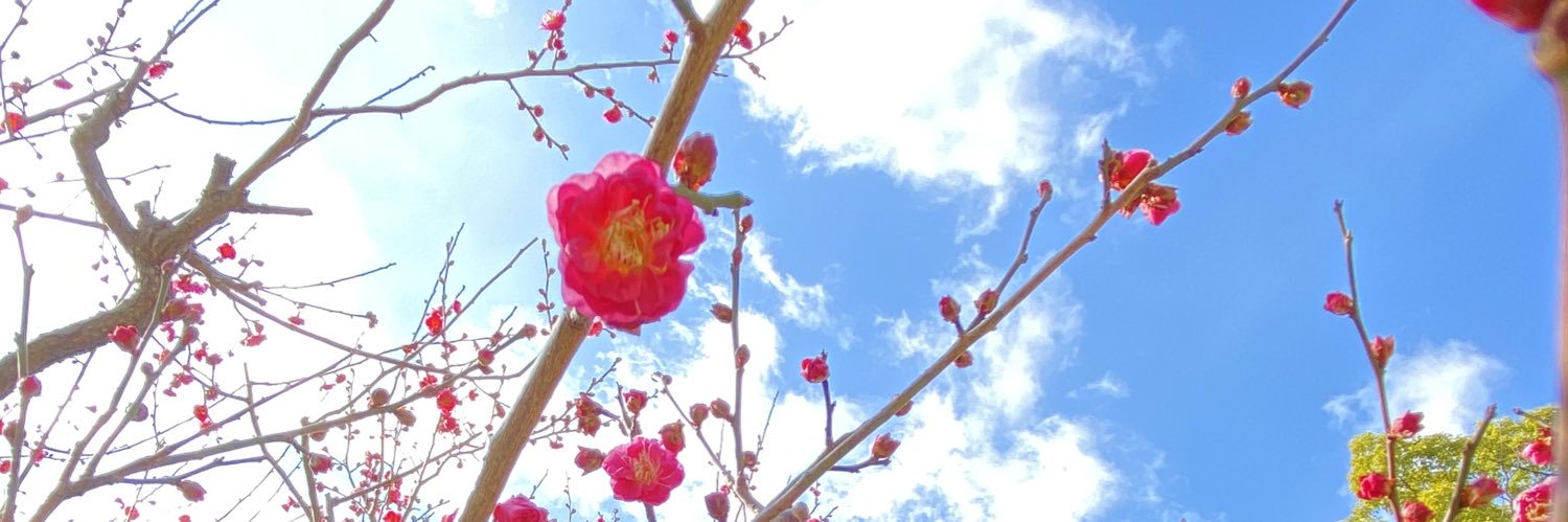 FukutaroX's profile banner image