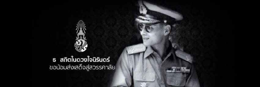 PetdaoStory's profile banner image