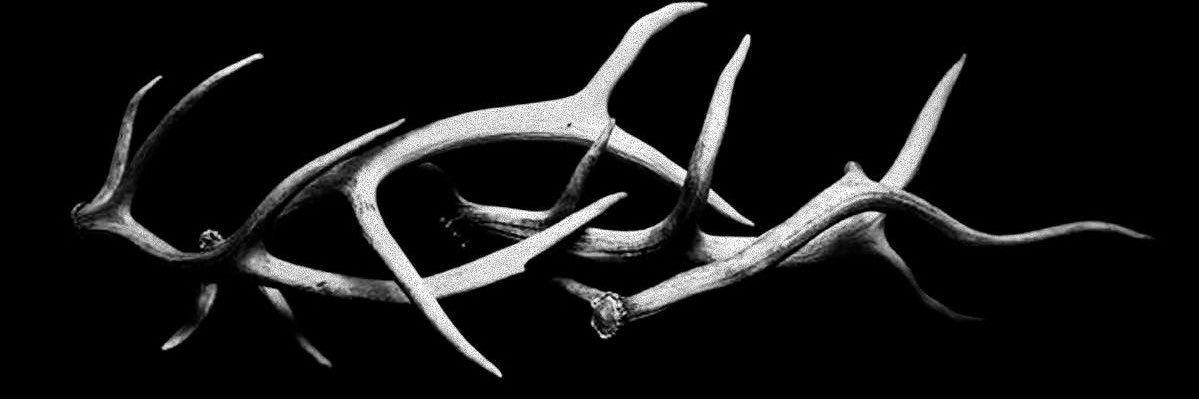 bdsmfbi's profile banner image