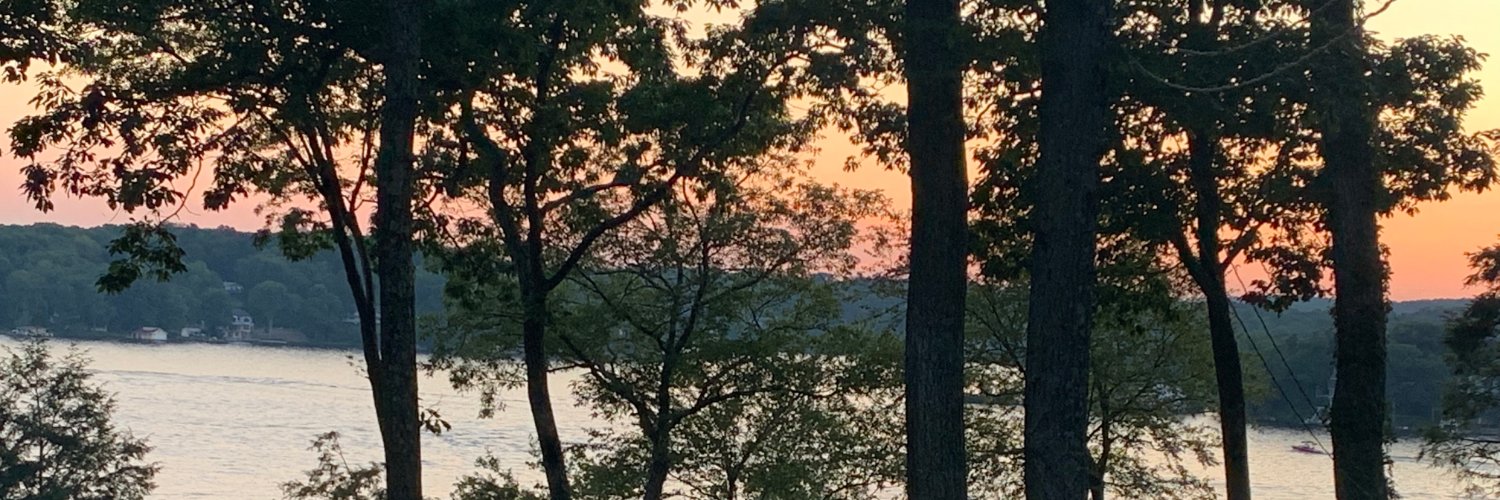 bradlips's profile banner image