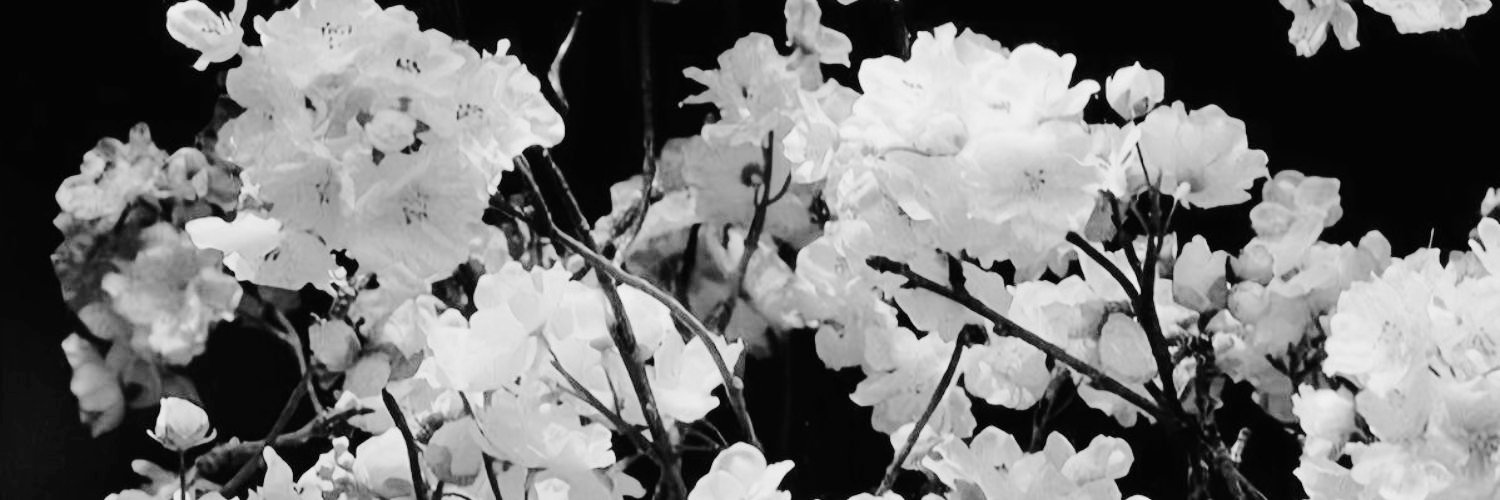 focaloire's profile banner image