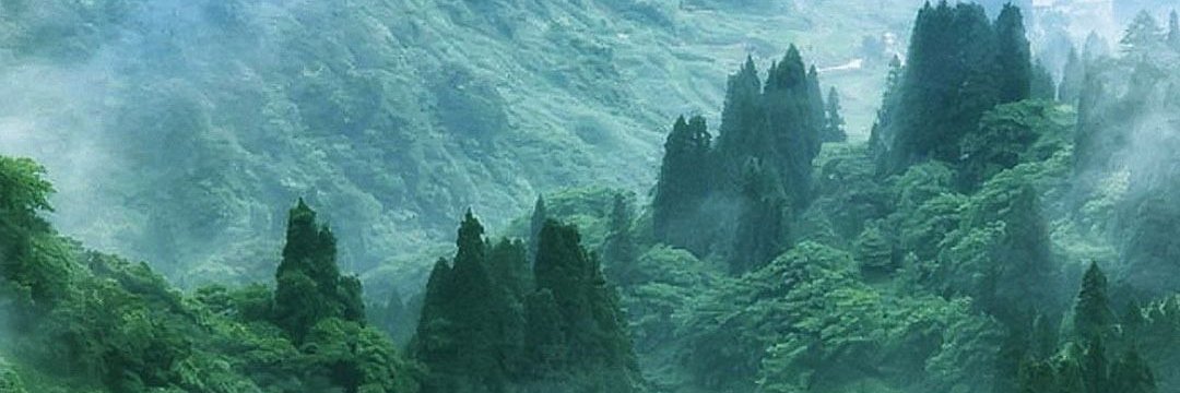 Mirceamarins's profile banner image