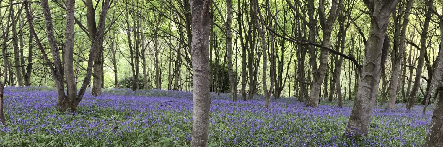 Wendy Johnson banner