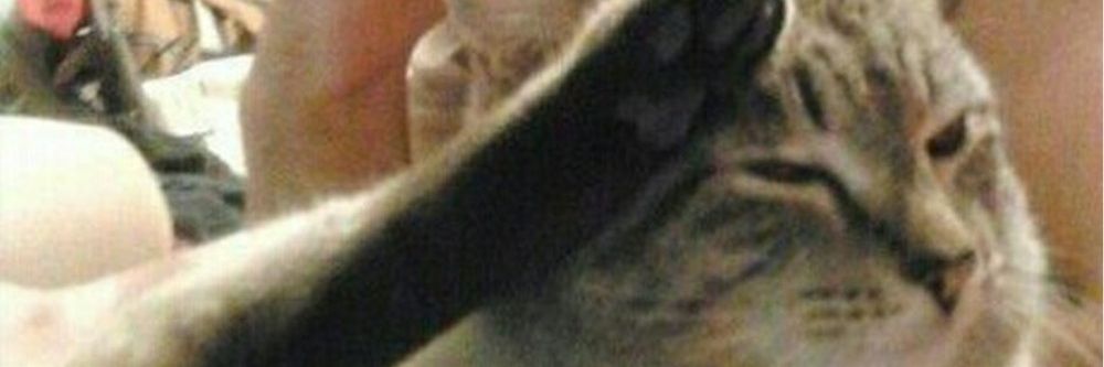 Its_metheRat's profile banner image