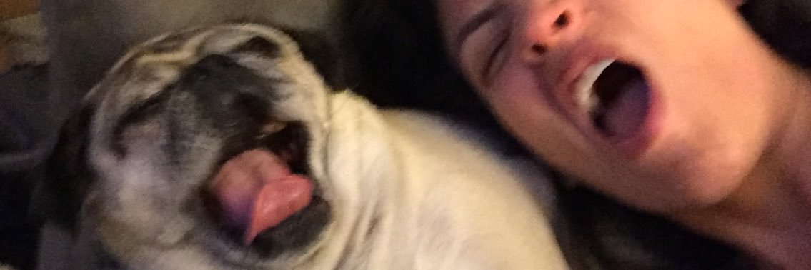 dingodowndame's profile banner image