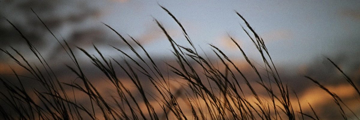 Darek 🇬🇧 banner