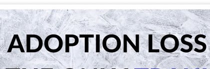 liladoptee ( she/they ) banner