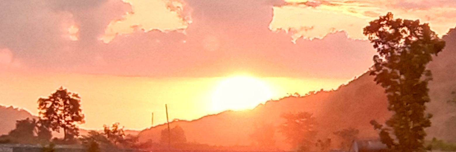 YanaSammy's profile banner image