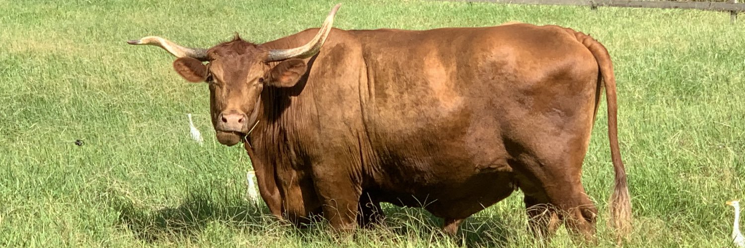 泡澡的土豆兔 banner