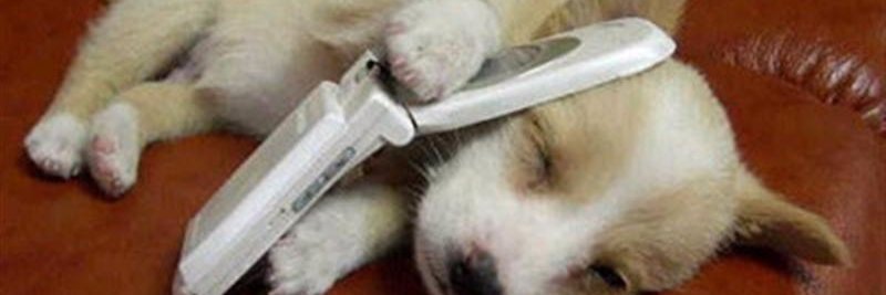 funnypetsworld1's profile banner image