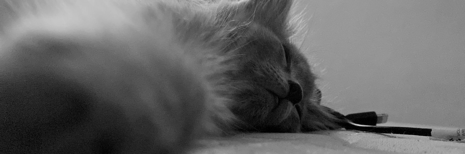 FrancinaZarate's profile banner image