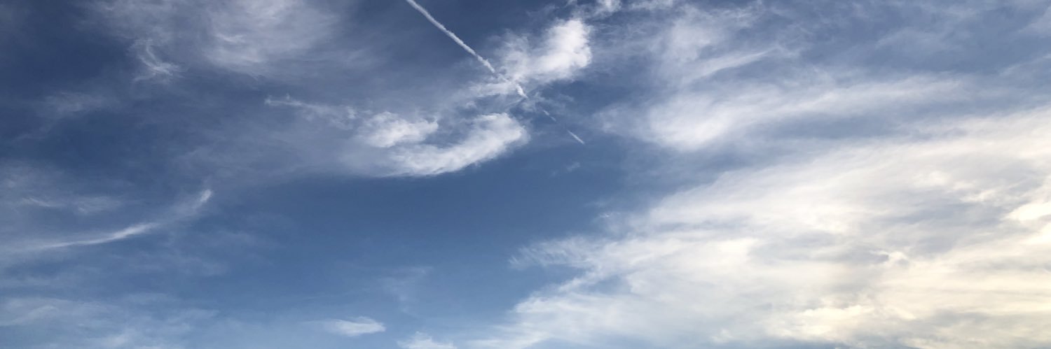しばいぬ banner