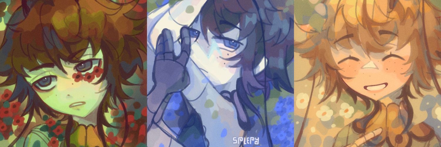 Splepy | ɴ's banner