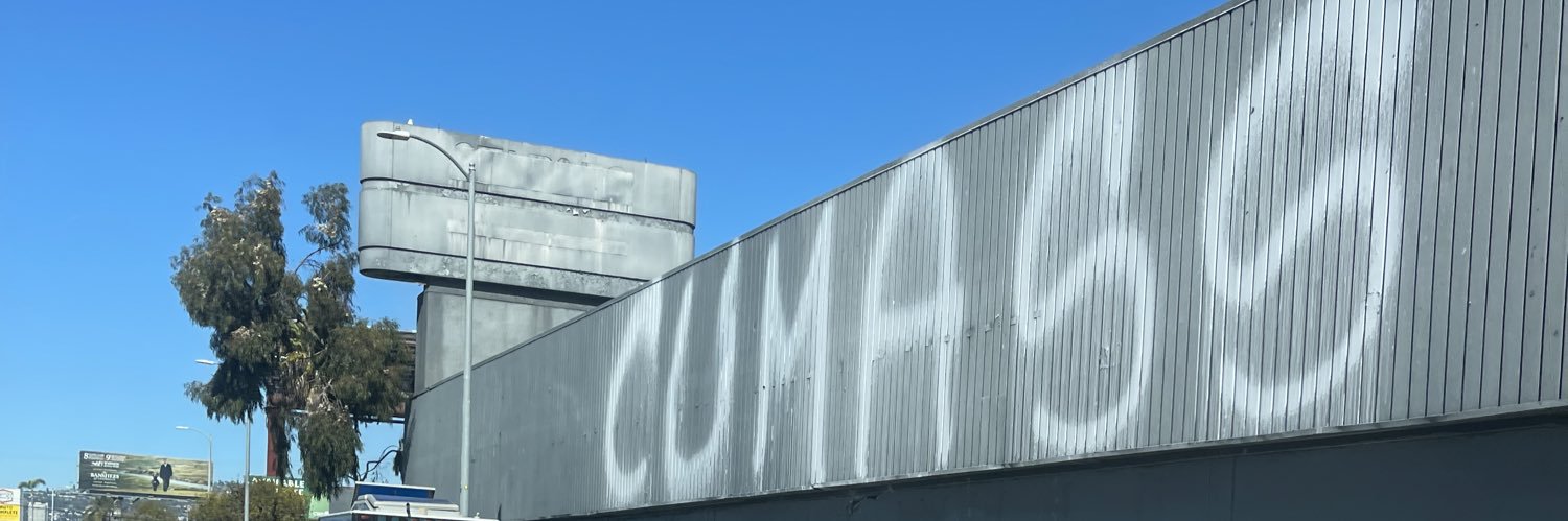 thicc cat banner