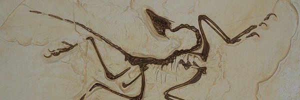 KeremJanberk Profile Banner